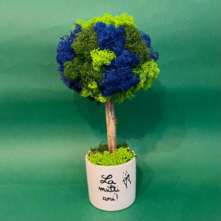 MINI COPACEI - Copacel La multi ani 25x13cm