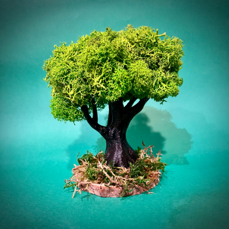 MINI COPACEI - Copacel Loc de intalnire 16x13cm