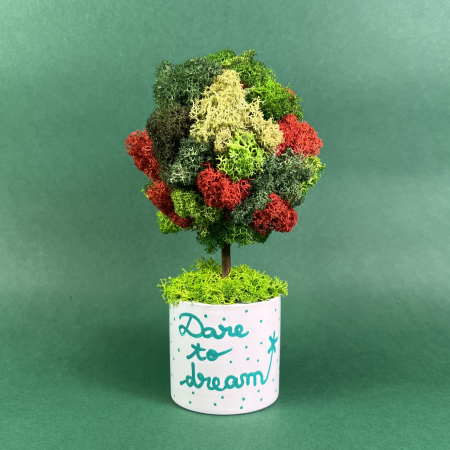 MINI COPACEI - Copacel Dream 22x12cm