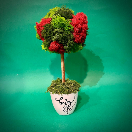 MINI COPACEI - Copacel Enjoy life 23x10cm