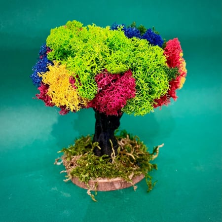 Scoala - Copacel Loc de intalnire colorat 16x13cm