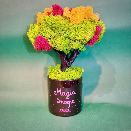 MINI COPACEI - Copacel  Magia incepe 24x13cm