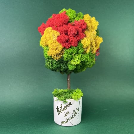 PERSONALIZATE - Copacel mediu personalizabil 22x12 cm