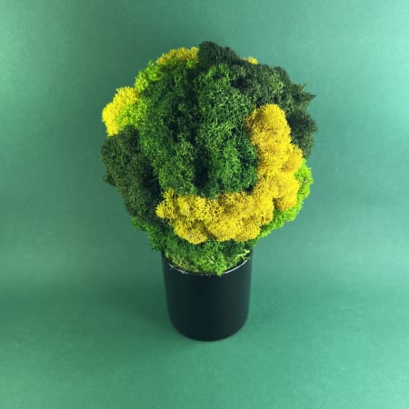Copacel negru 25x13cm [2]