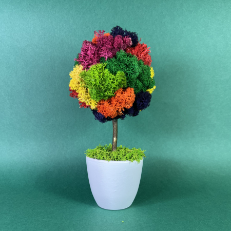 MINI COPACEI - Copacel simpatic 21x8cm