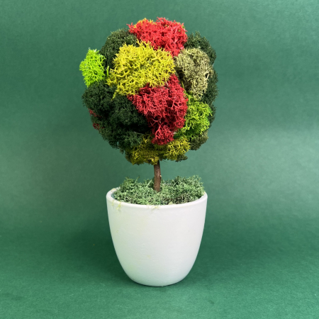 MINI COPACEI - Copacel Simplu 21x9cm