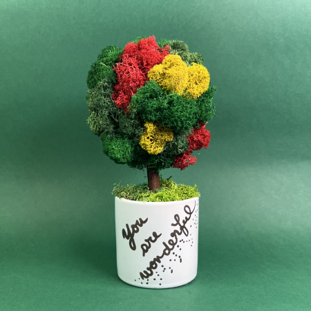 MINI COPACEI - Copacel Wonderful 25x13cm