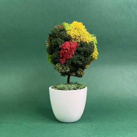 Copacel Simplu 21x9cm [1]