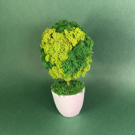 Copacel Verde 21x10cm [2]