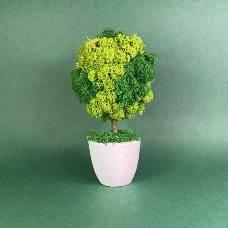 Copacel Verde 21x10cm [1]