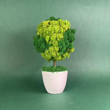 MINI COPACEI - Copacel Verde 21x10cm
