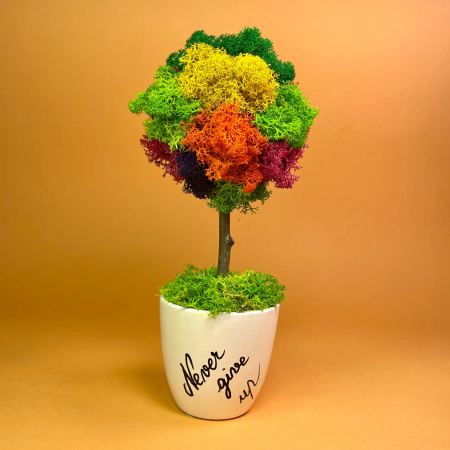 MINI COPACEI - Copacelul Never Give Up 21x8cm