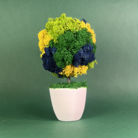 MINI COPACEI - Copacelul Dor 21x10cm