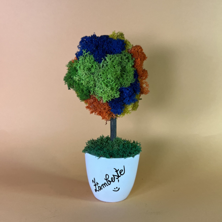 MINI COPACEI - Copacelul Zambeste 21x8cm