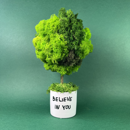 MINI COPACEI - Copacel Believe in you 22x12cm