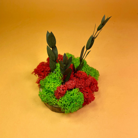 Mici cadouri naturale - Felie de lemn cu licheni 10x10cm