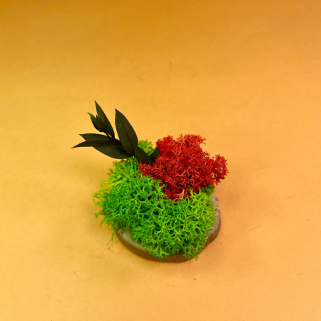 Mici cadouri naturale - Felie de lemn cu licheni 6x6cm