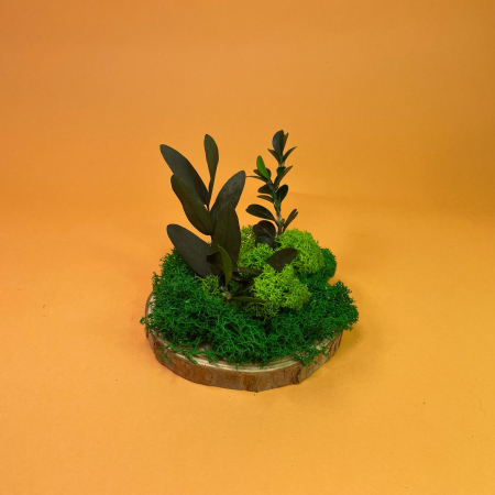 Mici cadouri naturale - Felie de lemn cu licheni 10x10cm