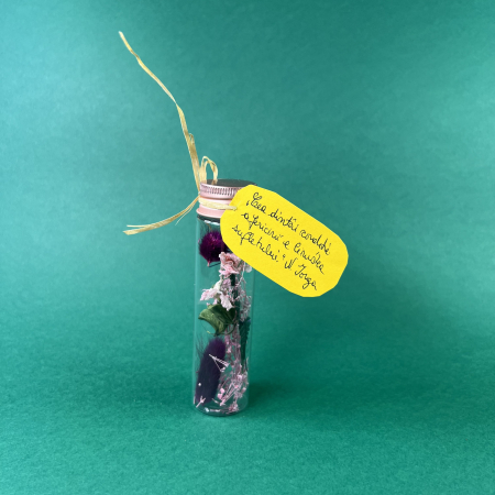 Mici cadouri naturale - Flori in sticluta cu mesaj 12x3cm