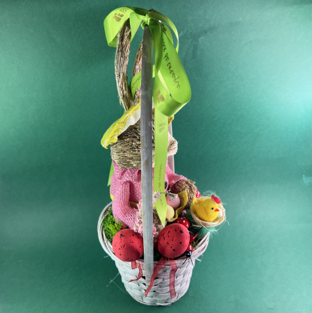 Iepuras in cosulet [3]