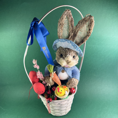 Iepuras in cosulet [2]