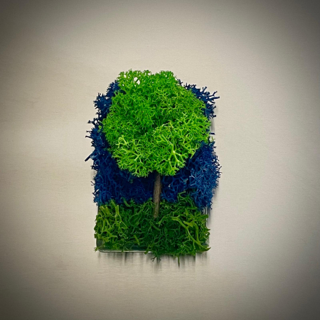 Mici cadouri naturale - Magnet Copacel 8x5cm