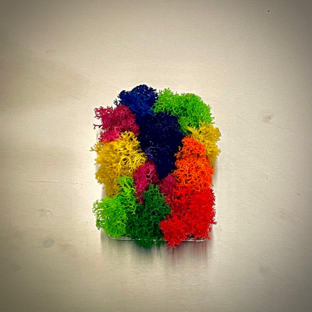 Mici cadouri naturale - Magnet Culorii Vii 8x5cm