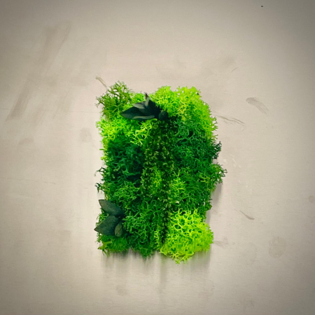 Mici cadouri naturale - Magnet Liane 8x5cm