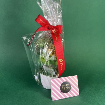 Maxi Copacel personalizabil 40x18cm [6]
