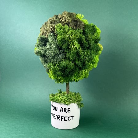 Copacel You are perfect (white) 22x12cm [1]