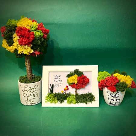MINI COPACEI - Pachet Smile Every Day