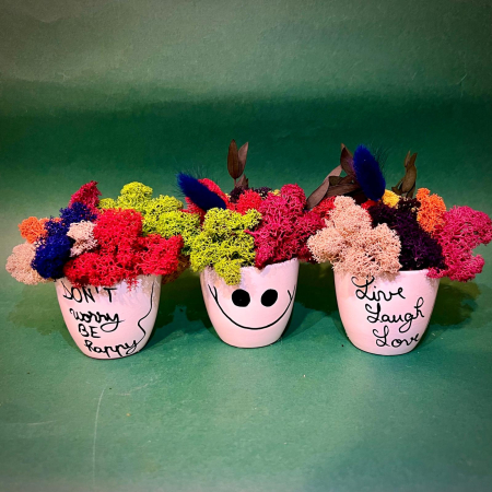 LICHIDARI DE STOC - Pachet Good Mood