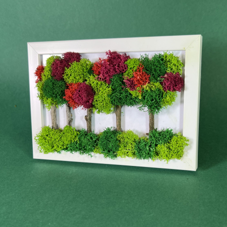 TABLOURI LICHENI - Tablou Padurea fermecata 10x15cm