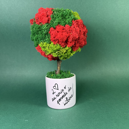 MINI COPACEI - Copacel Poveste de iubire 25x13cm