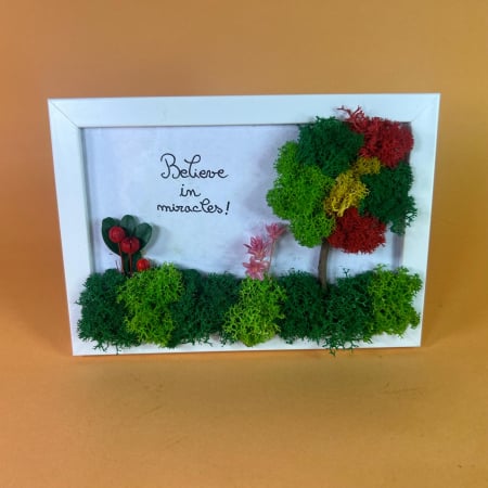TABLOURI LICHENI - Tablou Mici miracole 10x15cm