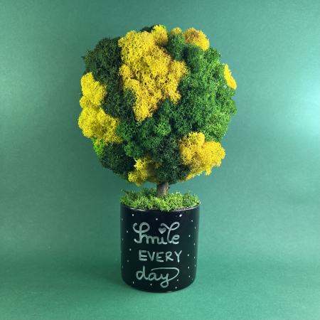 Scoala - Copacel Smile every day (black) 25x13cm