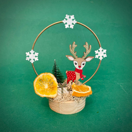 MAGIA CRACIUNULUI - Renul vesel