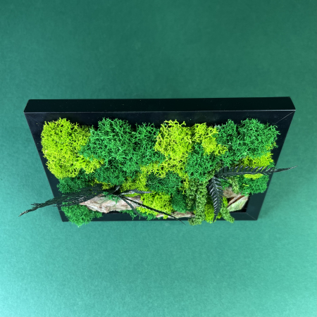 Tablou Sunetul naturii 10x15cm [1]