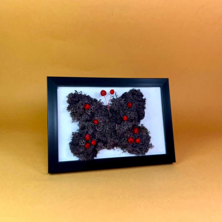 TABLOURI LICHENI - Tablou Fluture 10x15cm
