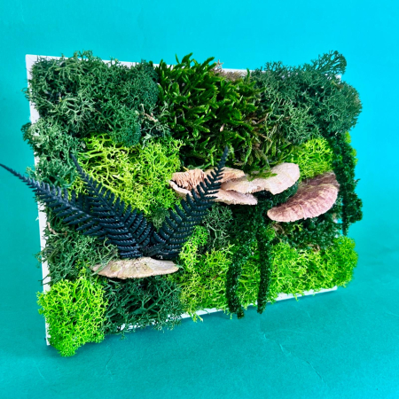 Tablou Ecou din natura 15x20cm [2]