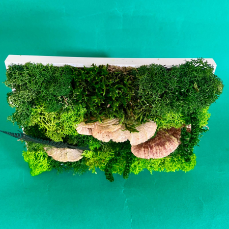 Tablou Ecou din natura 15x20cm [1]