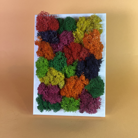Mici cadouri naturale - Tablou Veselie 10x15cm