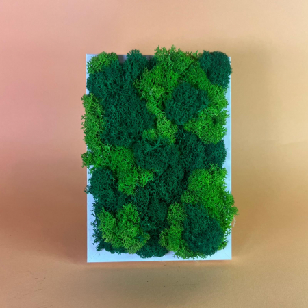 TABLOURI LICHENI - Tablou Coltisor verde 10x15cm