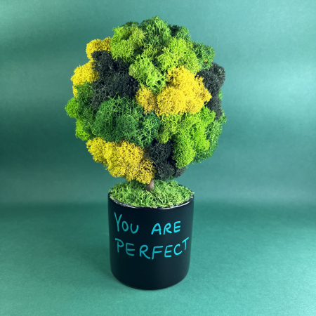 MINI COPACEI - Copacel You are perfect 25x13cm
