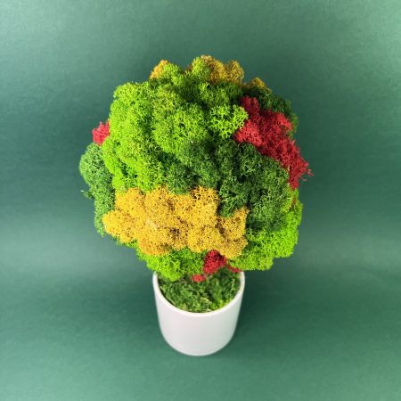 Copacel colorat 25x13cm [1]