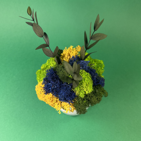 Aranjamentul Zambaretul Titi 15x9cm [2]