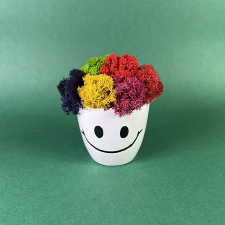 Aranjament personalizabil  Zambaretul colorat 9x9cm [1]