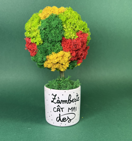 Copacel Zambeste des 25x13cm [1]