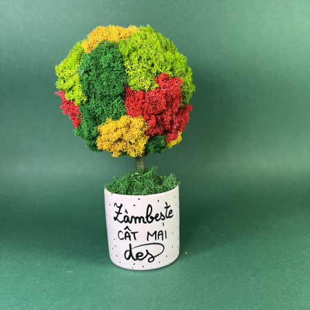 MINI COPACEI - Copacel Zambeste des 25x13cm