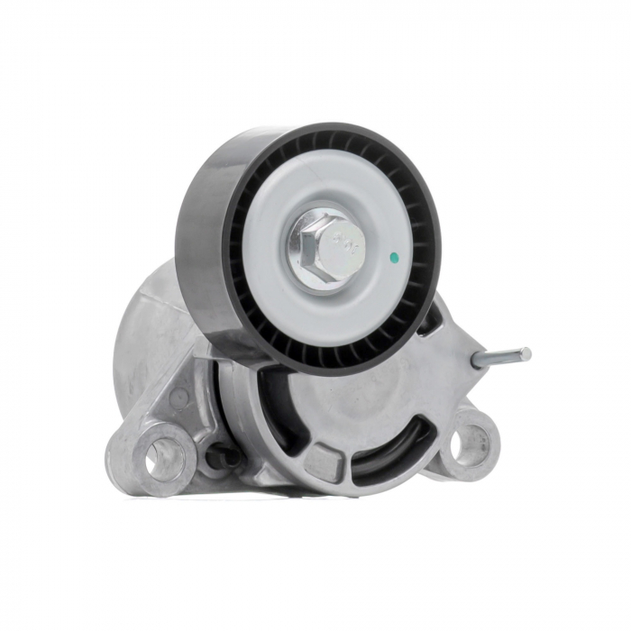 11287619248 INTINZATOR CUREA BMW - MEYLE [1]